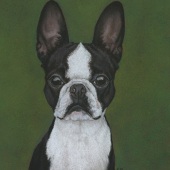 Cat Denby – “Tootsie” - www.artbycatonline.com