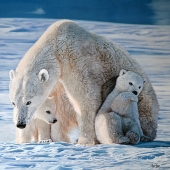 Cher Pruys – “A Captured Moment” - www.artbycher.ca