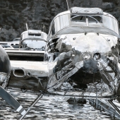 Cher Pruys – “Beech Patrol” - www.artbycher.ca