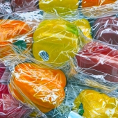 Cher Pruys – “It’s a Wrap” - www.artbycher.ca