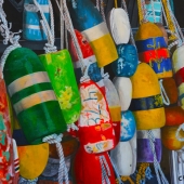 Cher Pruys – “Oh Buoys” - www.artbycher.ca