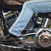 Cher Pruys – “Ride” - www.artbycher.ca