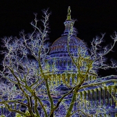 Lewis (1) Img #4  Washington DC Capitol Building