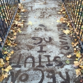 Shapiro (1) Img #1 A City's Insides