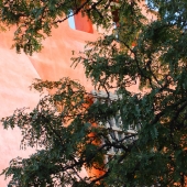 Greenwood (1) Img #2 Downtown Santa Fe