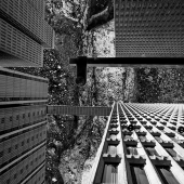 Regan (1) Img #2 NY-GA