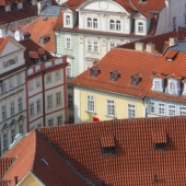 Sommer (1) Img #2  C.S No.2