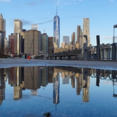 Reed (1) Img #2  Reflected