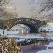 J - 10th Place - OA - Photo - McNally (1) Img #4 Footbridge in the Snow