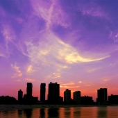 Banks #2 Img #1 Aardvark Afternoon