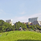 Duke (1) Img #4 Boston Commom USA