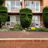 Neal (1) Img #1 Faces-Hedges