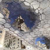 HM - Photo - Seltzer (2) Img #4 Fifth Avenue Puddles