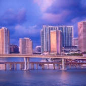 HM - Photo - Sirnick (1) Img #4 Miami Blues