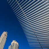 McDonough Mahler (1) Img #5 WTC Rises