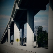 Reidel (1) Img #1 The Modern Jungle