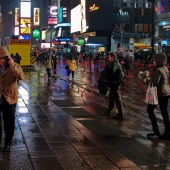 Stenholm (1) Img #3 Rain and Neon