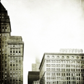 Taylor-M (1) Img #2 Motorola Mist