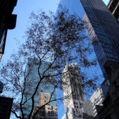 Hon. Mention - Tiina Bockrath - “5th Avenue - Manhattan, NYC” –  tiina7@earthlink.net