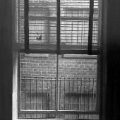 Joel Sobelson - “View from Apt 5A/NYC” – www.jsobelson.wixsite.com/joel-sobelson