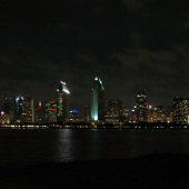 Diane Sanderson - “Downtown San Diego at Night” – www.dianesanderson.mysite.com/