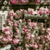 Liubov Kalashnikova - “Antropocenum Plantscape Remedy 4” – www.lkalashnikova.crevado.com/