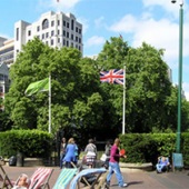 Daniel Rollitt - “Greening the City” – www.dannyrollitt.wixsite.com/glass-and-ceramics