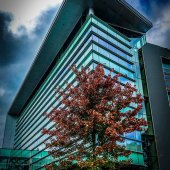 Hon. Mention - Y. Hope Osborn - “Verge” – www.artworkarchive.com/profile/yhopeosborn