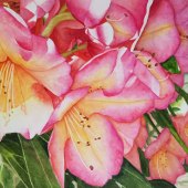 Lisa Freeman-Wood - “Rhododendron Delight” – lmfreemanwood@yahoo.com