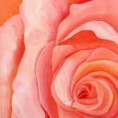 Debi Starr - “Coral Rose” – http://debistarr.com/