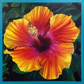 Nancy Jacey - “Hibiscus” – http://www.nancyjacey.com/