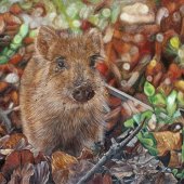 Valentina Abadia - “Observer” – http://www.valentinaabadia.com/