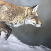 Lynette Orzlowski - “Frozen Wonderland” – http://www.orzlowski.com.au/