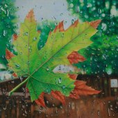 Pamela Clements - “Pane of Separation” – https://www.apurpleleaf.com/