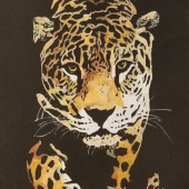 Michael Putorti - “Jaguar” – michaelputorti@gmail.com