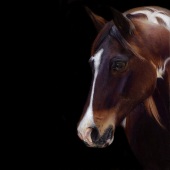 Bonny Snowdon - “Out of the Darkness” – http://www.bonnysnowdonfineart.co.uk/