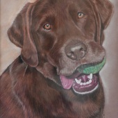 Avery Anderson - “Hank” – http://averyandersonanimalart.com/