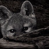 Lynn Kibbe - “Hiding in Plain Sight” – http://www.lynnkibbefineart.weebly.com/