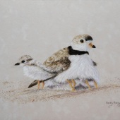 Sandy Moser - “Come On, Let's Play” – https://sandymoserart.ca/