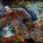 Susan Oakes - “Fallen” – http://www.suoakesphotoimaging.com/