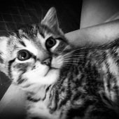 Y. Hope Osborn – “Old Passes before the Young 2020” – http://www.artworkarchive.com/profile/YHopeOsborn