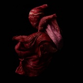 JJ Ignotz - “NYC red tulip 1” – http://www.jjignotzphotography.com/