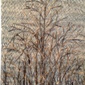 Gena Grant - “Winter Trees” – http://genagrant.com/
