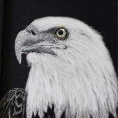 James S. Hoch - “Courage, Wisdom, Strength” – http://zamescreations.com/