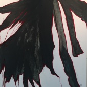 Şükran - “Crow 1” – sukranblt@gmail.com