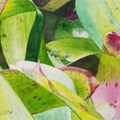 Lisa Freeman-Wood - “Green Gecko” – lmfreemanwood@yahoo.com