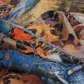 Pamela Clements - “Apricity” – https://www.apurpleleaf.com/