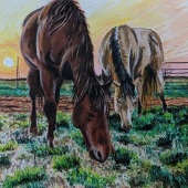 Brandy Edgren - “Gentle Giants” – brandy.edgren@dusters.org