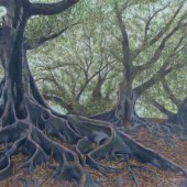 Caryn Coville - “Ancient Giants” – http://www.caryncoville.com/