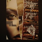 Viviana Ravelli - “Introduction” – vivianiter@libero.it